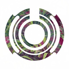 RMS-002 Deep in Jungle (Sonder Live Set)
