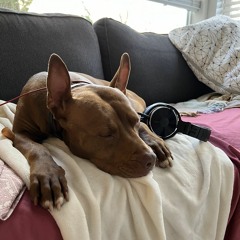 We've Had 99 Problems For 21 Years [Boiler Rüm Demo]