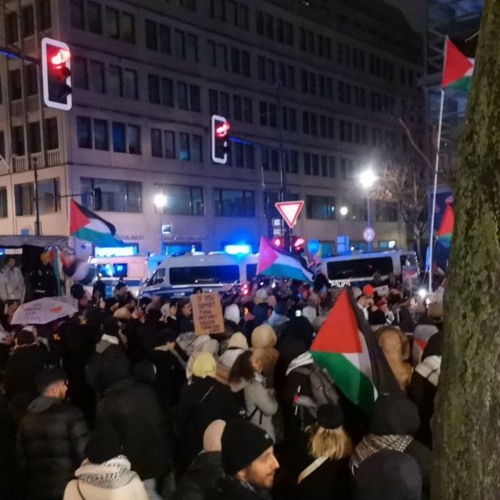 Last Minutes Of A Palestina Demo, Unter Den Linden, Berlin 23.12