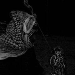 بخيَر يا ناشد عنّي .