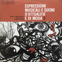 Espressioni Musicali E Suoni D'Attualita' E Di Moda 2 - Various