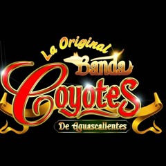 Son Del Picacho - Banda Coyotes