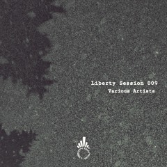 Iiney - Chance (R.Hz Remix) [Liberty Rhythm]