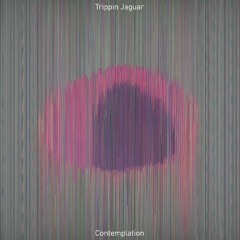 Trippin Jaguar - Contemplation