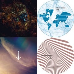 Lana Elite: Minimalist House