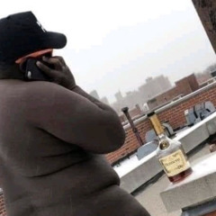 Baby birking-free Gunna