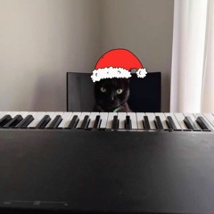 Peanutty Christmas Live
