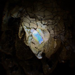 Peace of mind  : 2025/9/24