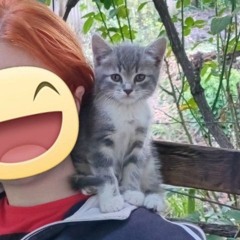 Pretty Little Baby -Connie Francis