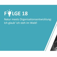 #18 Natur meets Organisationsentwicklung: Ich glaub‘ ich steh im Wald!