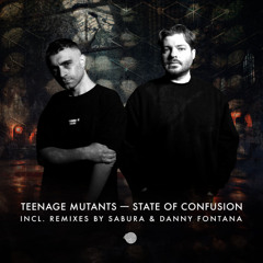 PREMIERE: Teenage Mutants - State of Confusion  (Danny Fontana & David Bean Remix) [IbogaTech]
