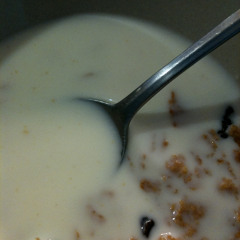 The Raisin Bran Song