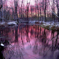 Fuck You (deceptionsxx)