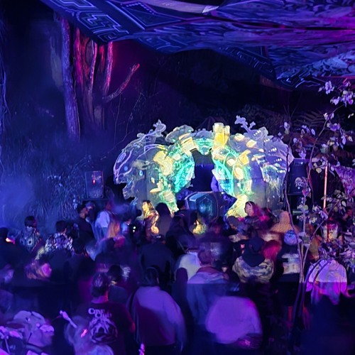 ASAPSY| Progressive Psytrance @Aaranya 25/10/25