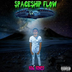 SpaceShip Flow