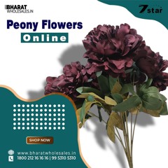 Shop Peony Flowers Online in India at Wholesale Price