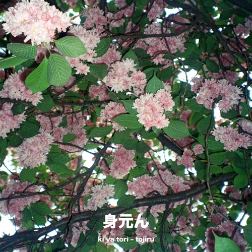 ki ya tori - fuyō