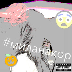#миланакор