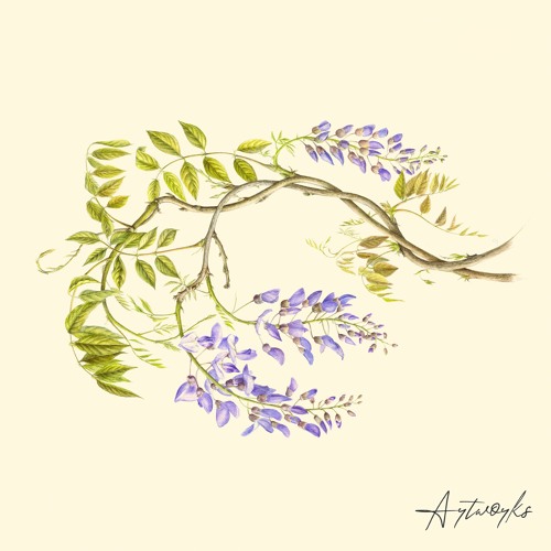 Adam Husa - Busking (Original Mix)
