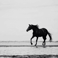 Ramy Gamal - Msh Laaeky | رامي جمال - مش لاقيكي