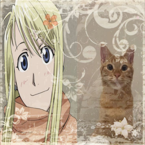 spring time (chaos)