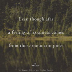 A Feeling Of Coolness - (Naviarhaiku - 575)