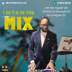DJ T.S IN THE MIX THROWBACK REGGAE CULTURE MIX