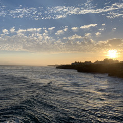 Wonder when I might see you again