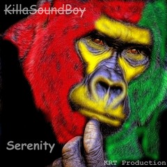 Serenity (Instrumental Dub Reggae)