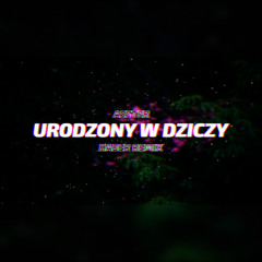 Asster - Urodzony w dziczy (HABER Remix)