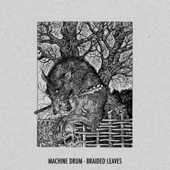 Machinedrum - Braided Leaves