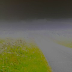 Morning Mist (naviarhaiku412)