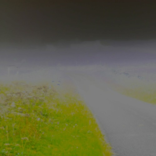 Morning Mist (naviarhaiku412)