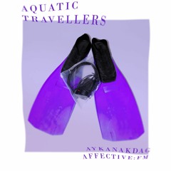 2023-12-29 Live At Sonntagsinstitut Aquatic Travellers Vol. 3 (Affective Sauna Solo & b2b bbfm)