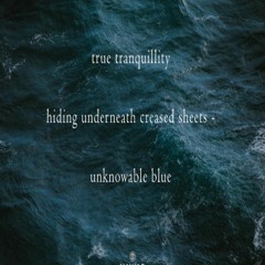 OneAmbient4 - True Tranquillity (Naviarhaiku 325)