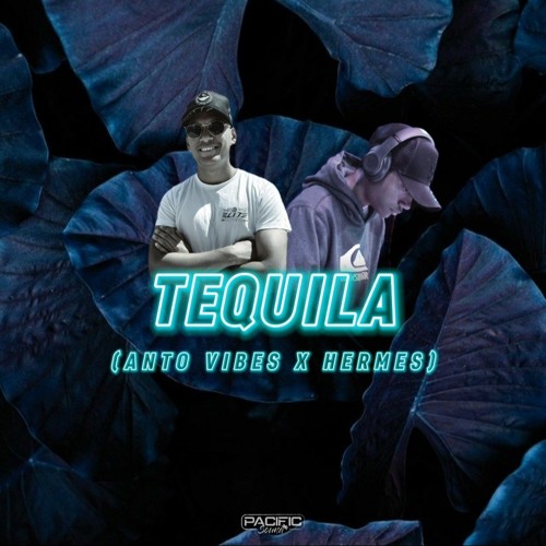 TEQUILA (ANTO VIBES X HERMES).mp3