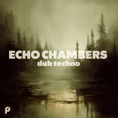Echo Chambers Dub Techno