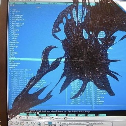 You Know What? I Actually Fucking Hate Every Single One Of You.