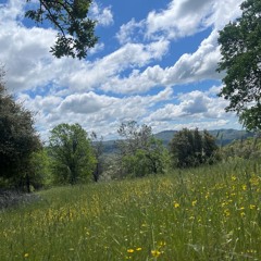 Sunset @ StardUSt 2024: Nebula