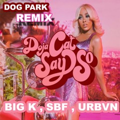 Doja Cat - Say So ( DOG PARK Remix )( BIG K , SBF , URBVN )