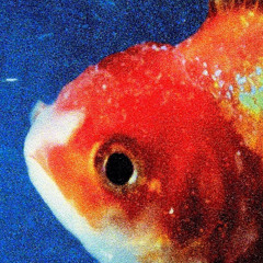 Big Fish (Four Color Zack Flipper)