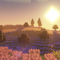 czr & ss - flourish (tenshixgod)