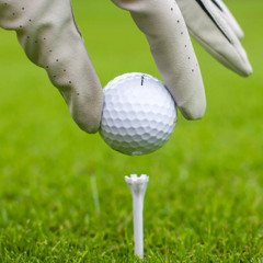 Stupid fucking golf song (me+scrambl)