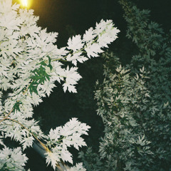 treskyplesky