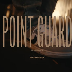 plvyboyhook point guard