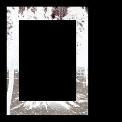 Frozen Lake, Grunewald