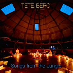 Songs From The Jungle - Tete Bero