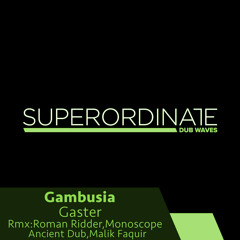 Gambusia - Gaster (Malik Faquir 'Mellow' Rmx) [Superordinate Dub Waves]