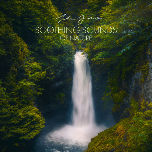 Soothing Sounds of Nature with Ambient Nature Sounds