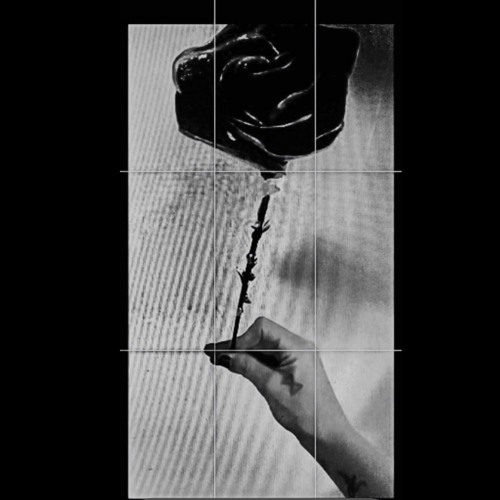 Our Shadows On The Walls (demo ‘23)